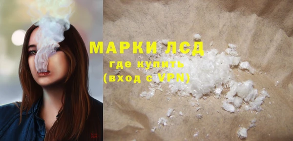 гидра Михайловск