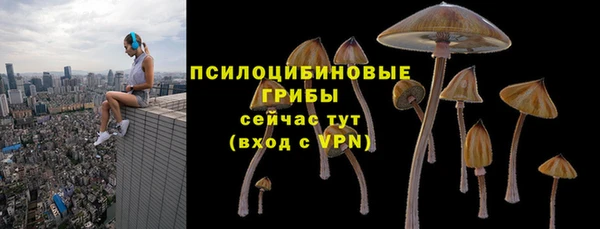 спиды Михайлов