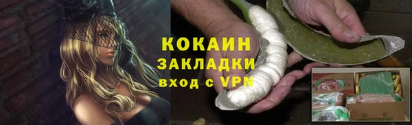 ПСИЛОЦИБИНОВЫЕ ГРИБЫ Медвежьегорск