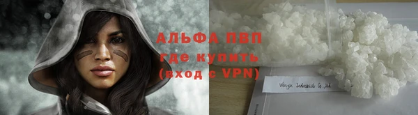 гидра Михайловск