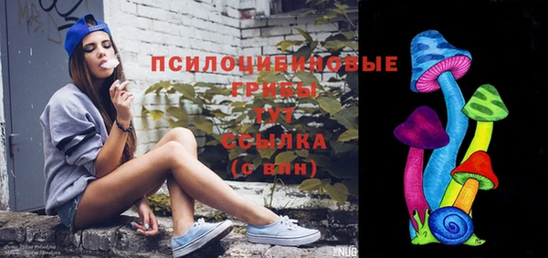 гидра Михайловск