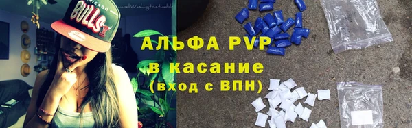 спиды Михайлов
