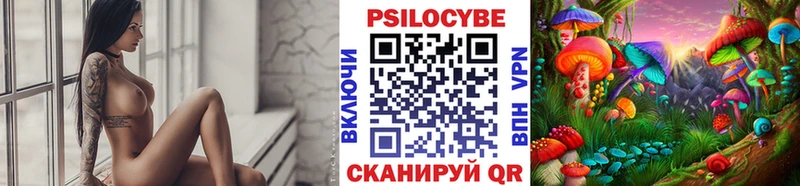 Купить где  Плавск  Псилоцибиновые грибы Cubensis 