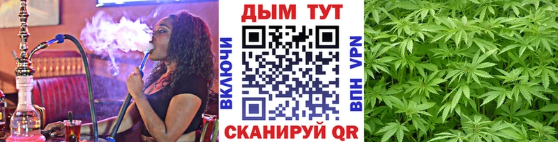 Купить где  Плавск  Канабис Amnesia 